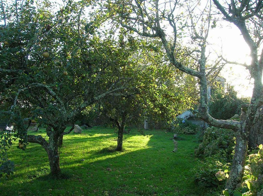 Pension - Albergue De Logrosa Negreira Exteriör bild
